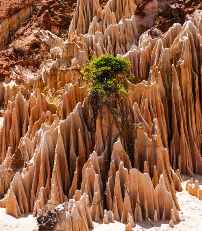 Madagascar Tsingy rouge